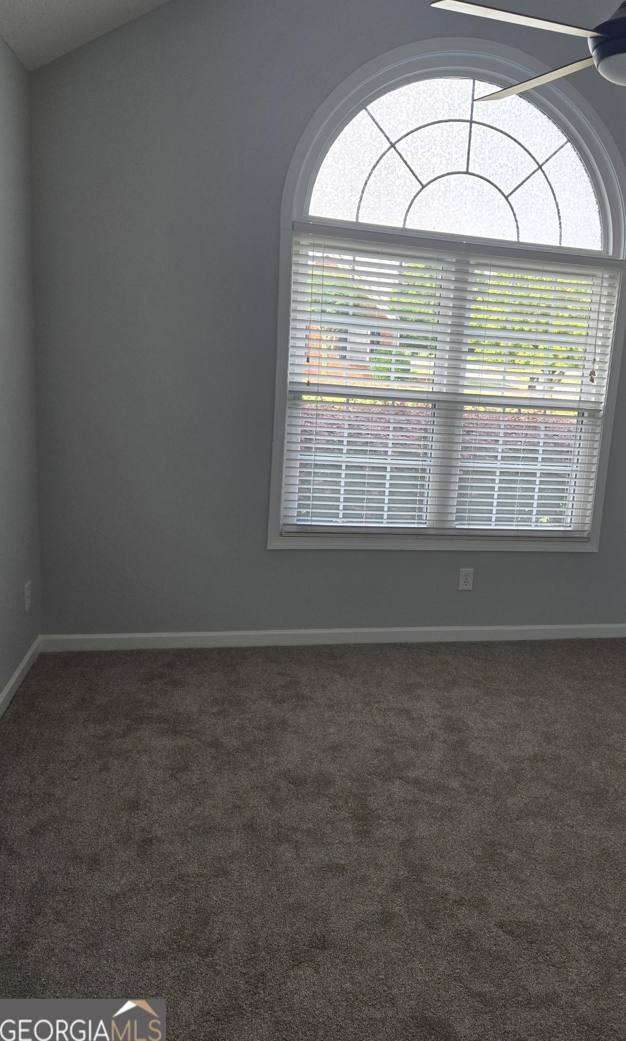 Photo #36