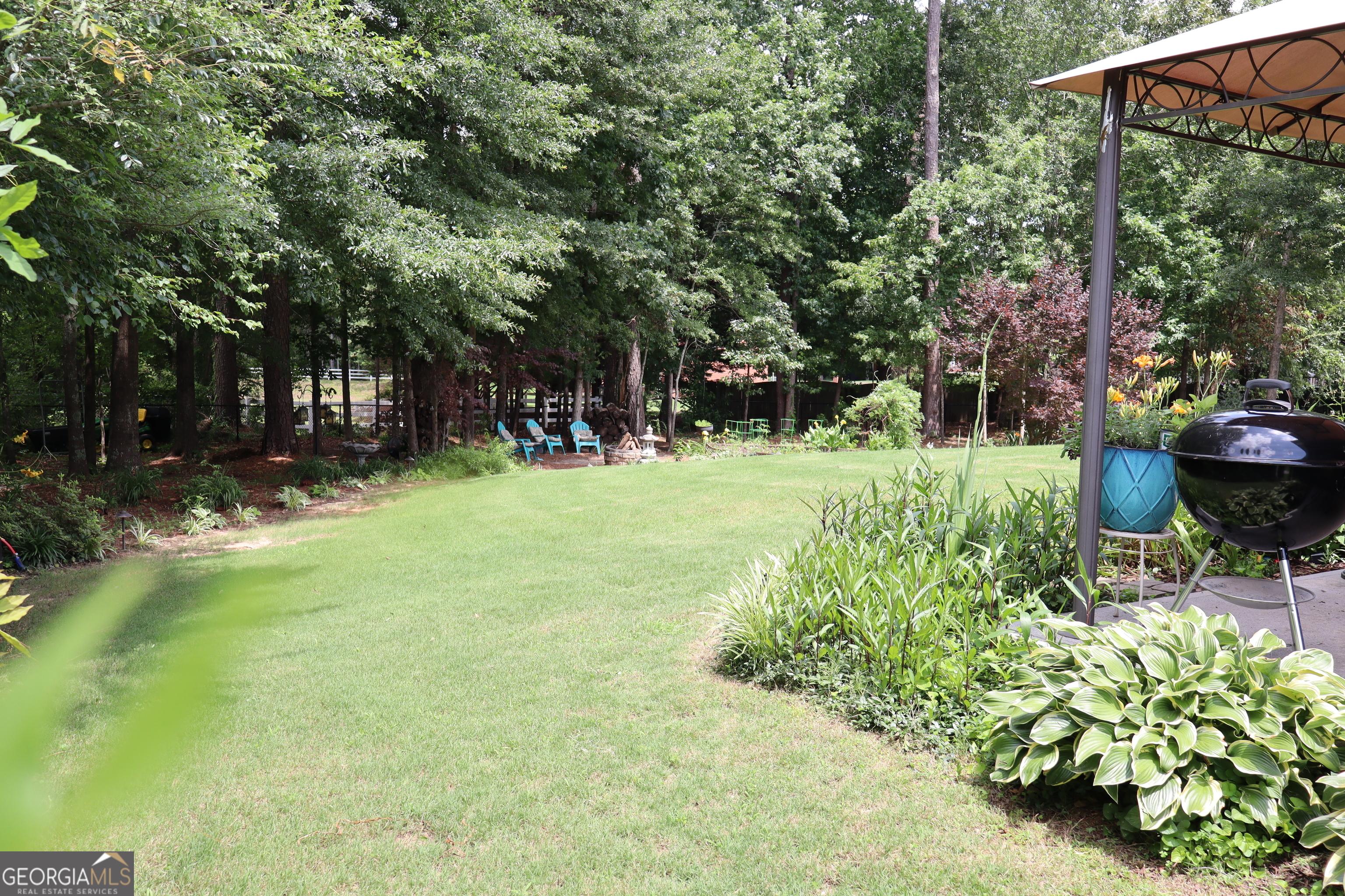 Photo #51