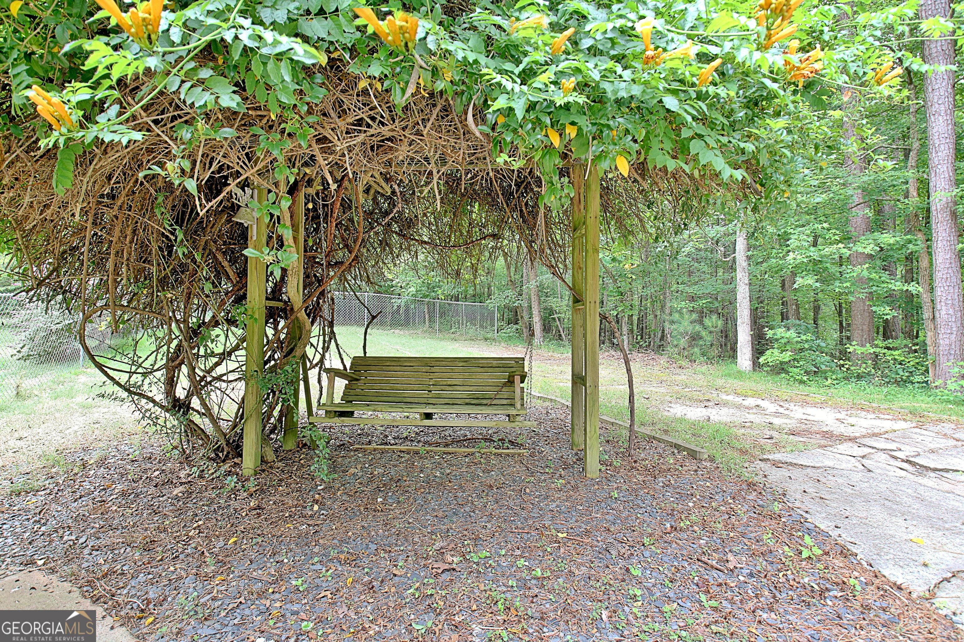 Photo #38