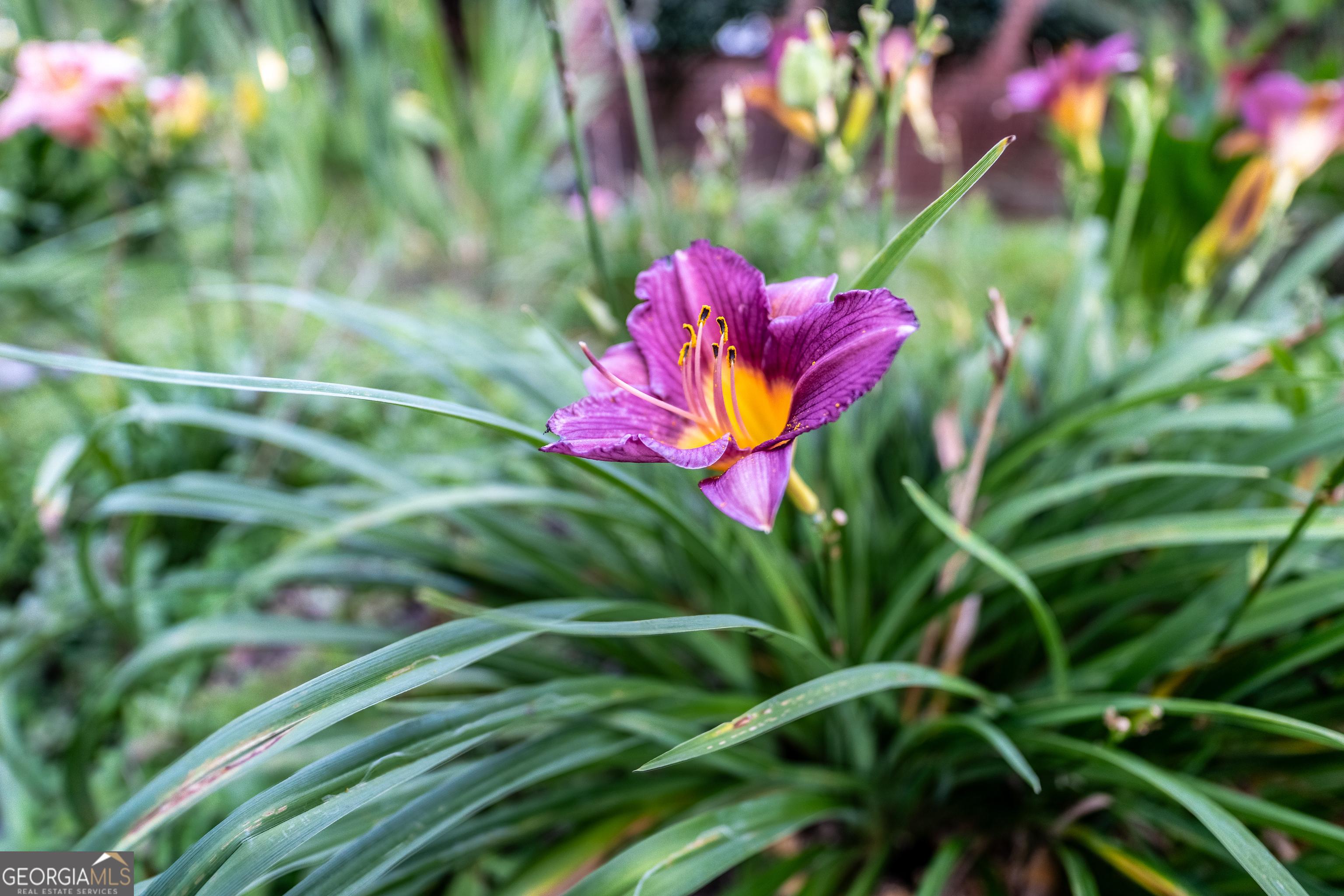 Photo #38