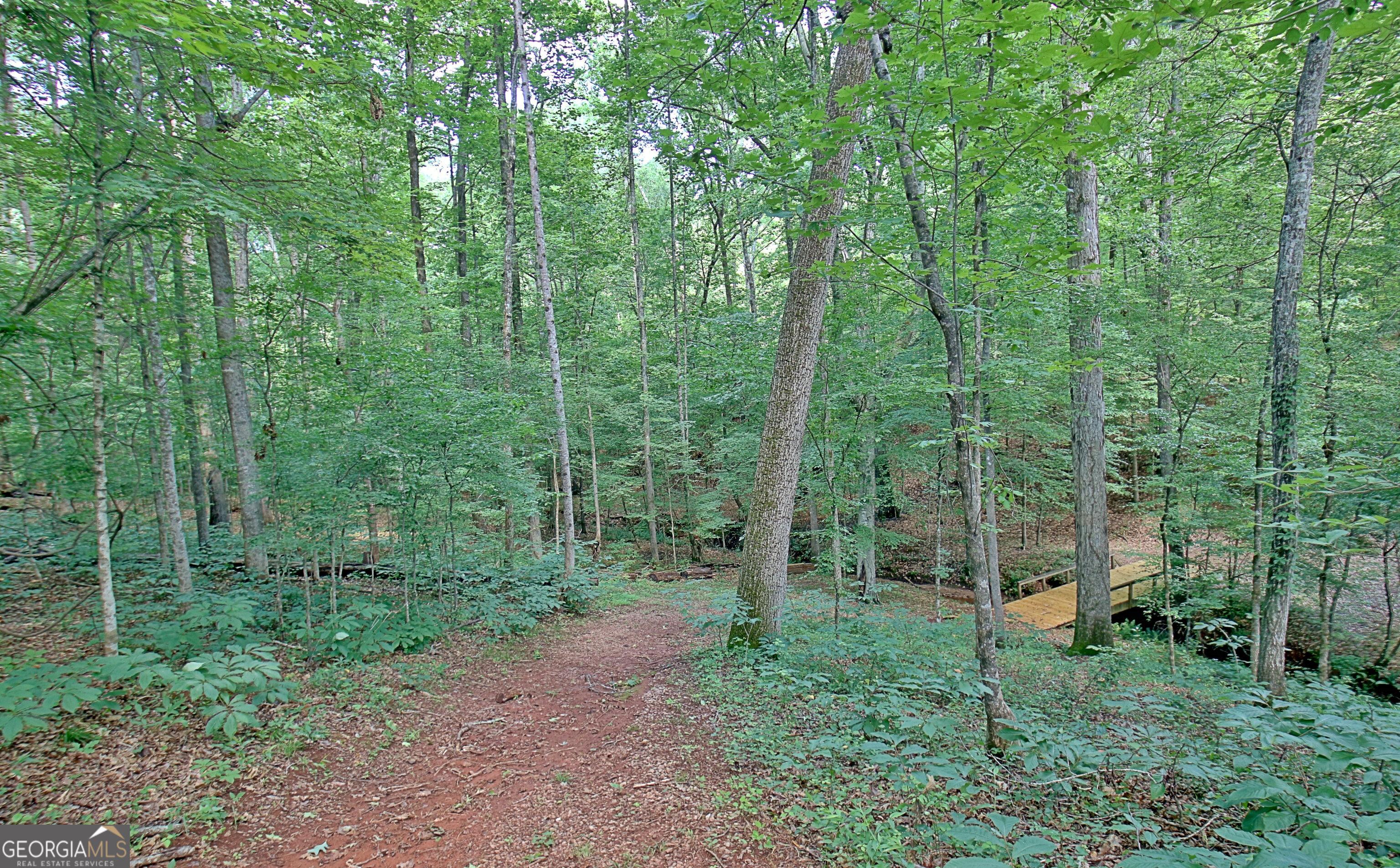 Photo #4