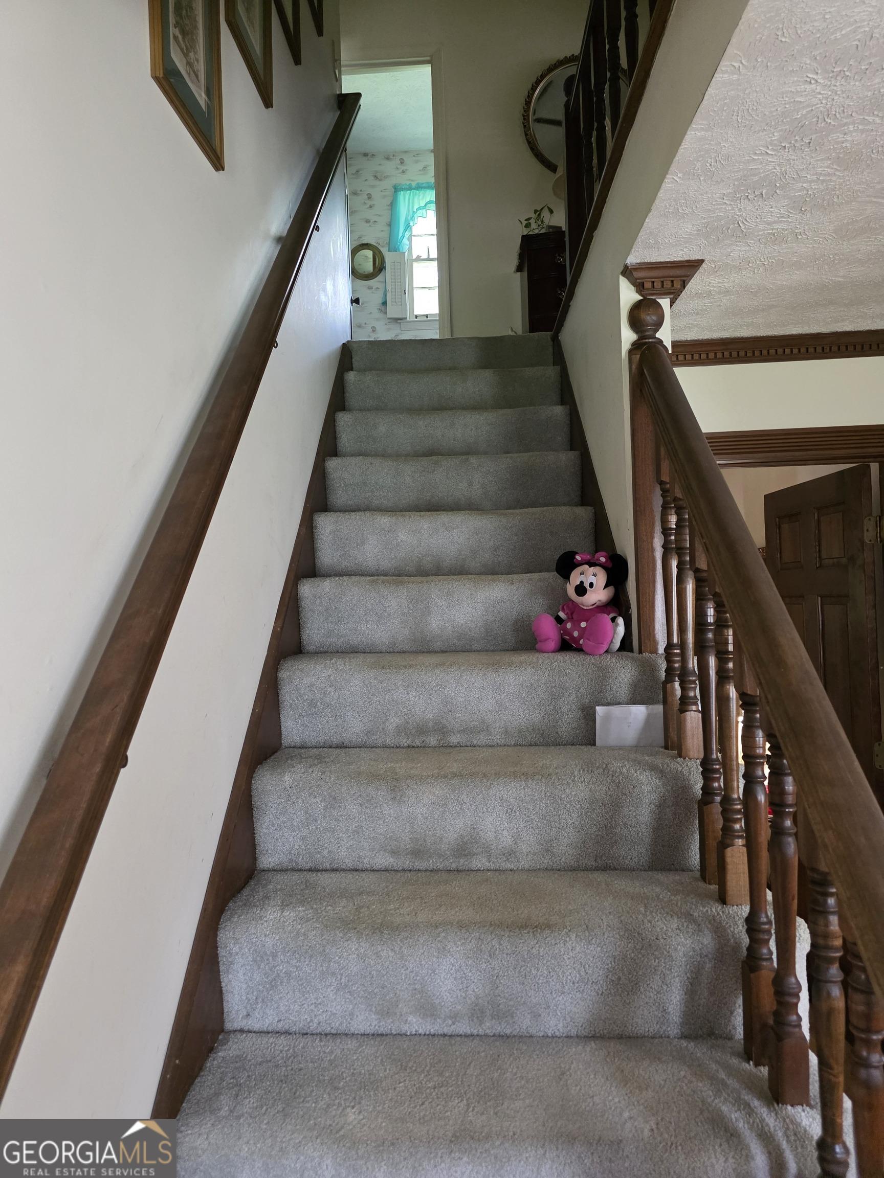 Photo #14