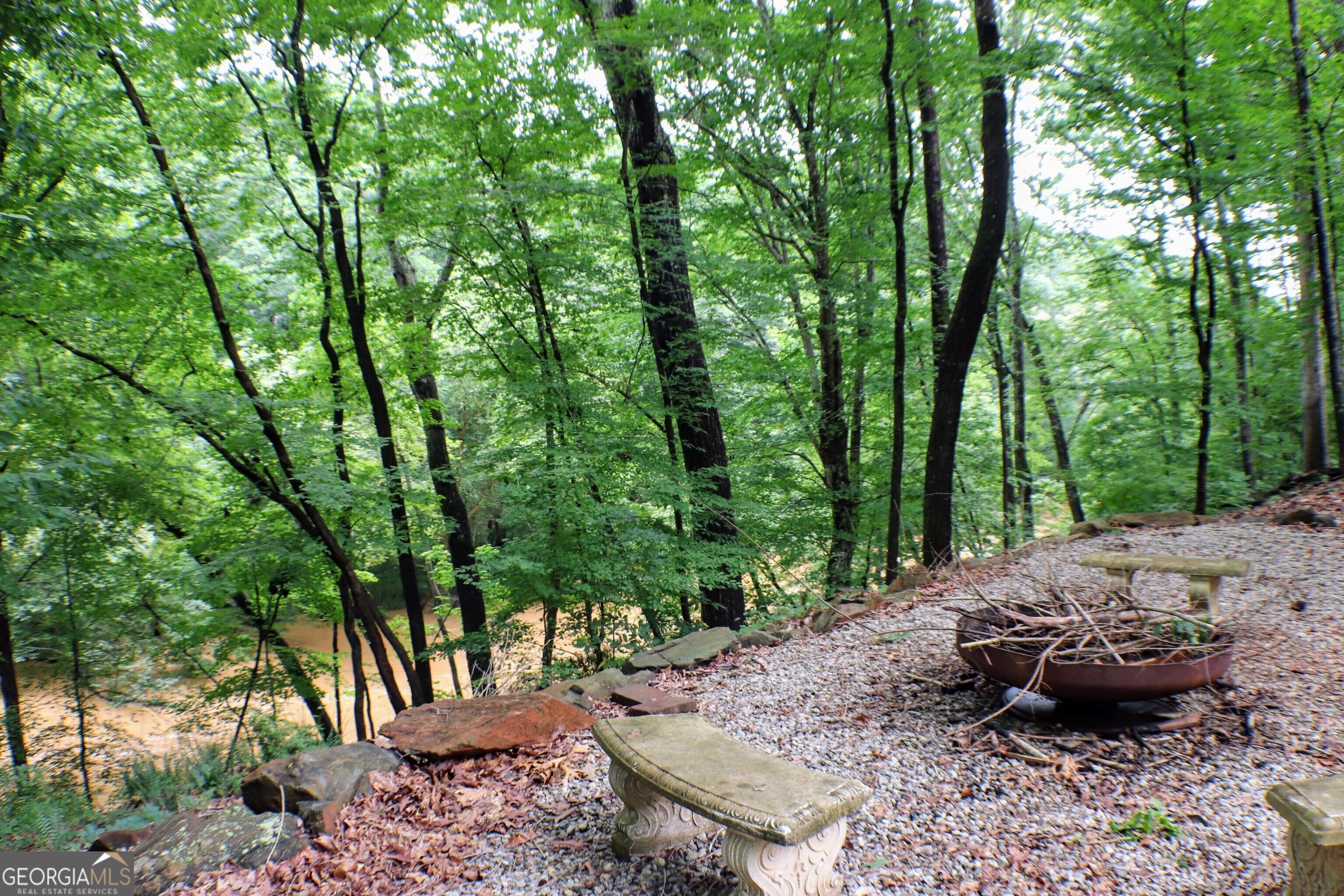 Photo #38