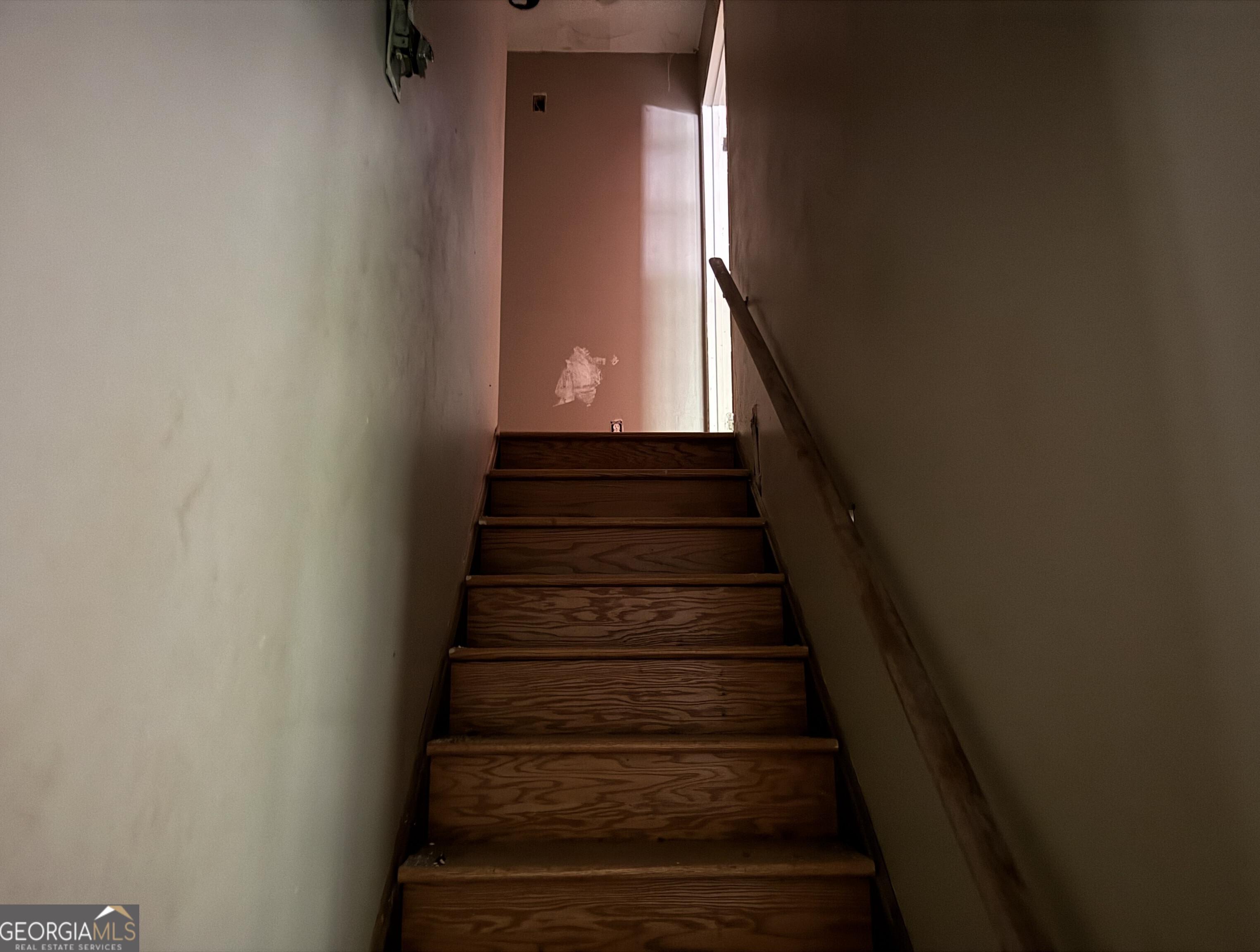Photo #14