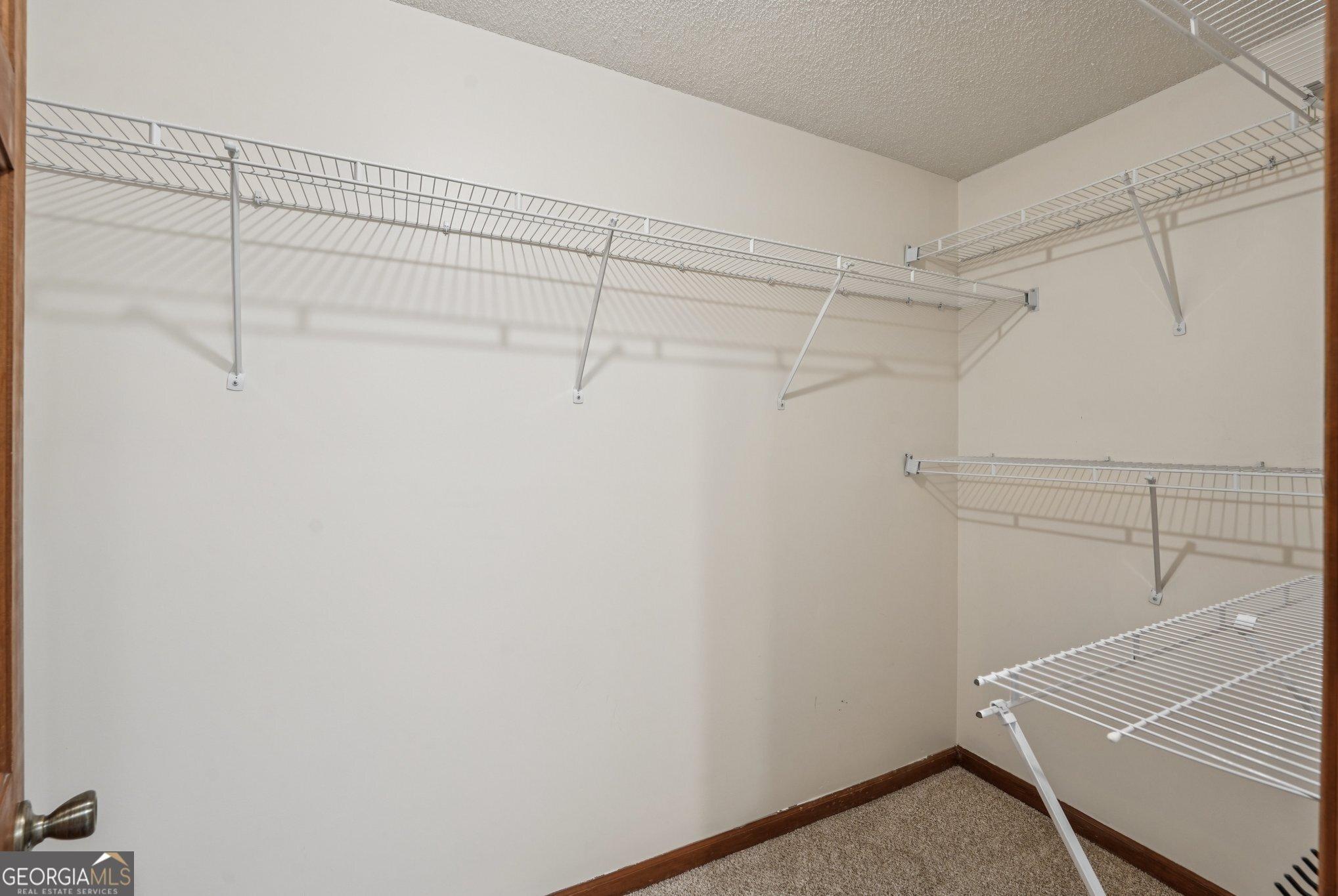 Photo #43