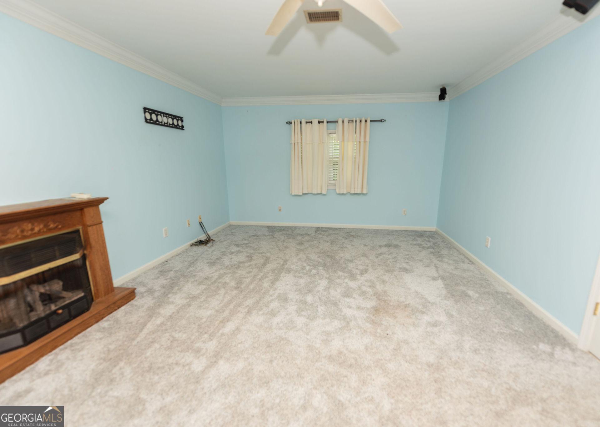 Photo #41