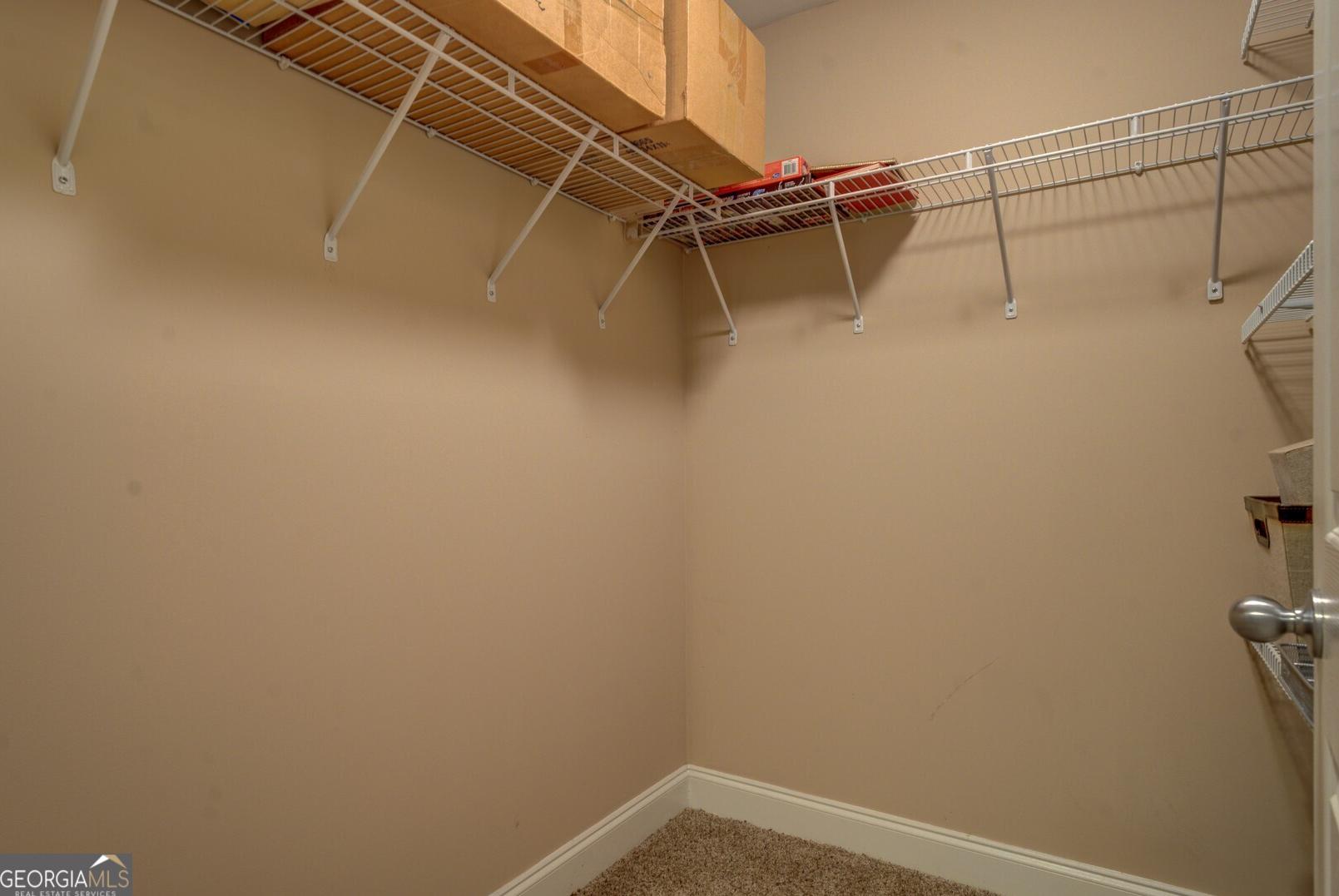 Photo #41