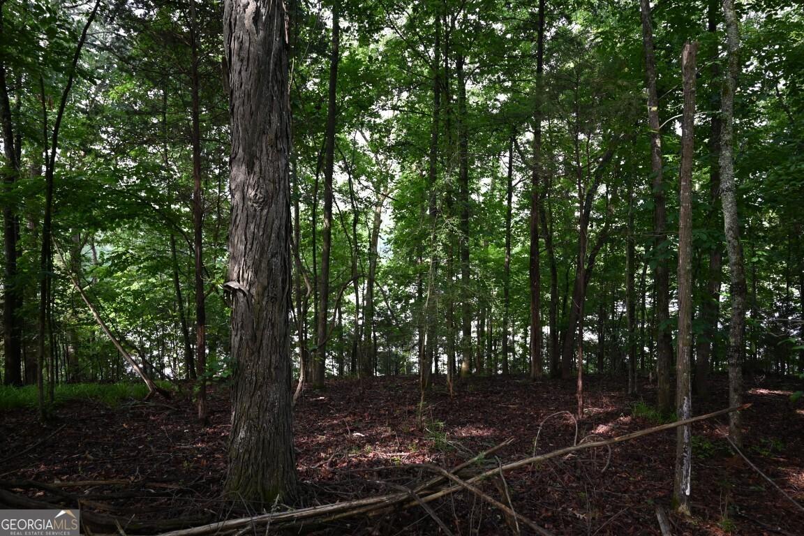Photo #34