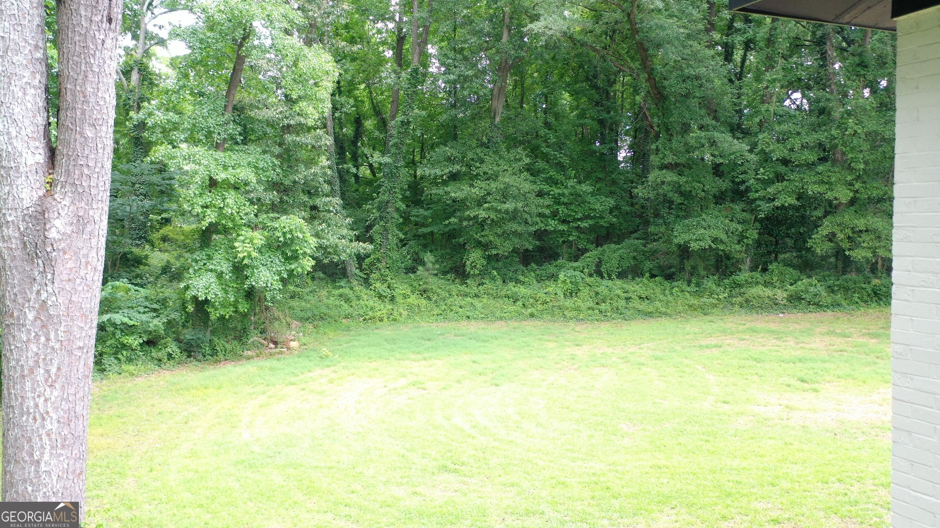 Photo #29