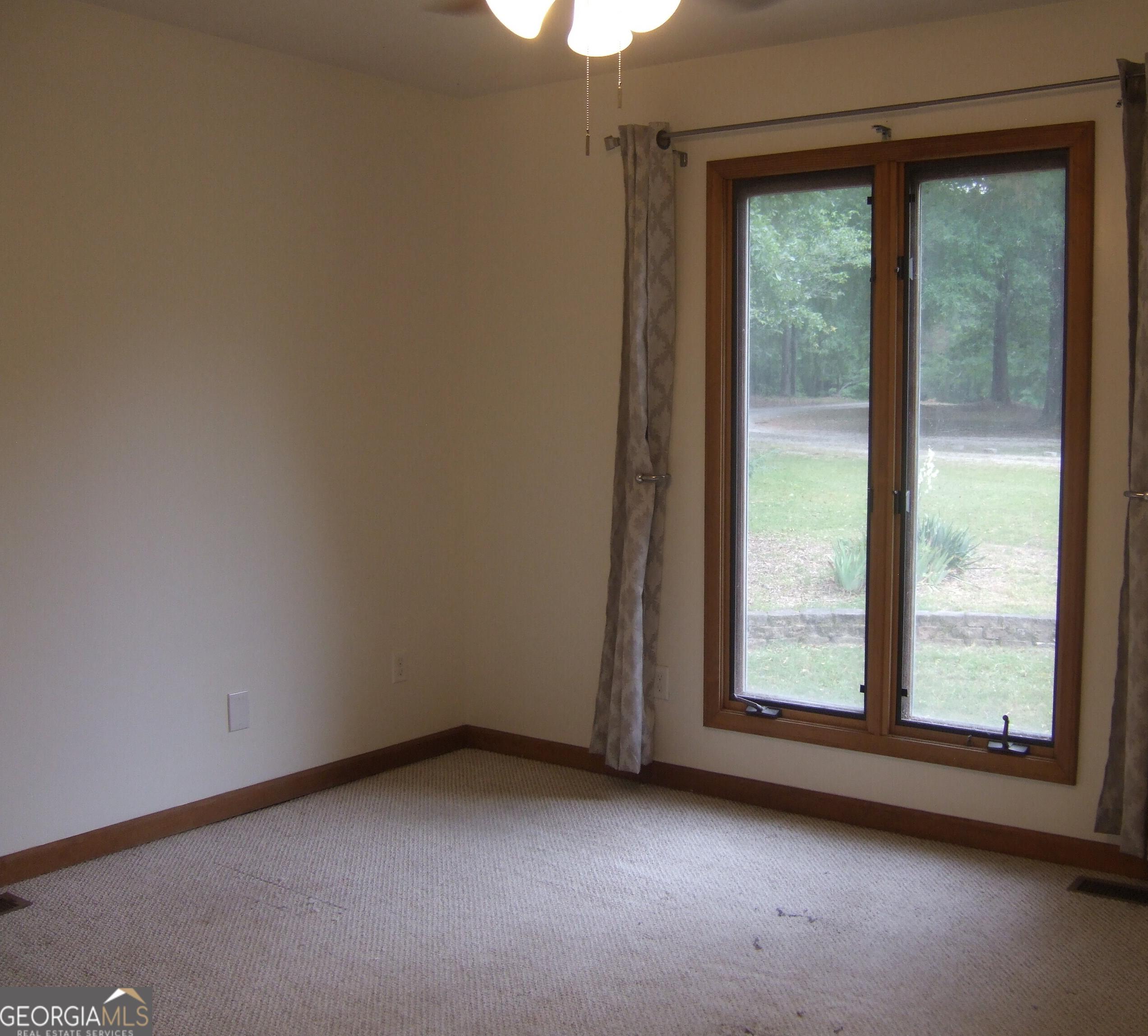 Photo #24