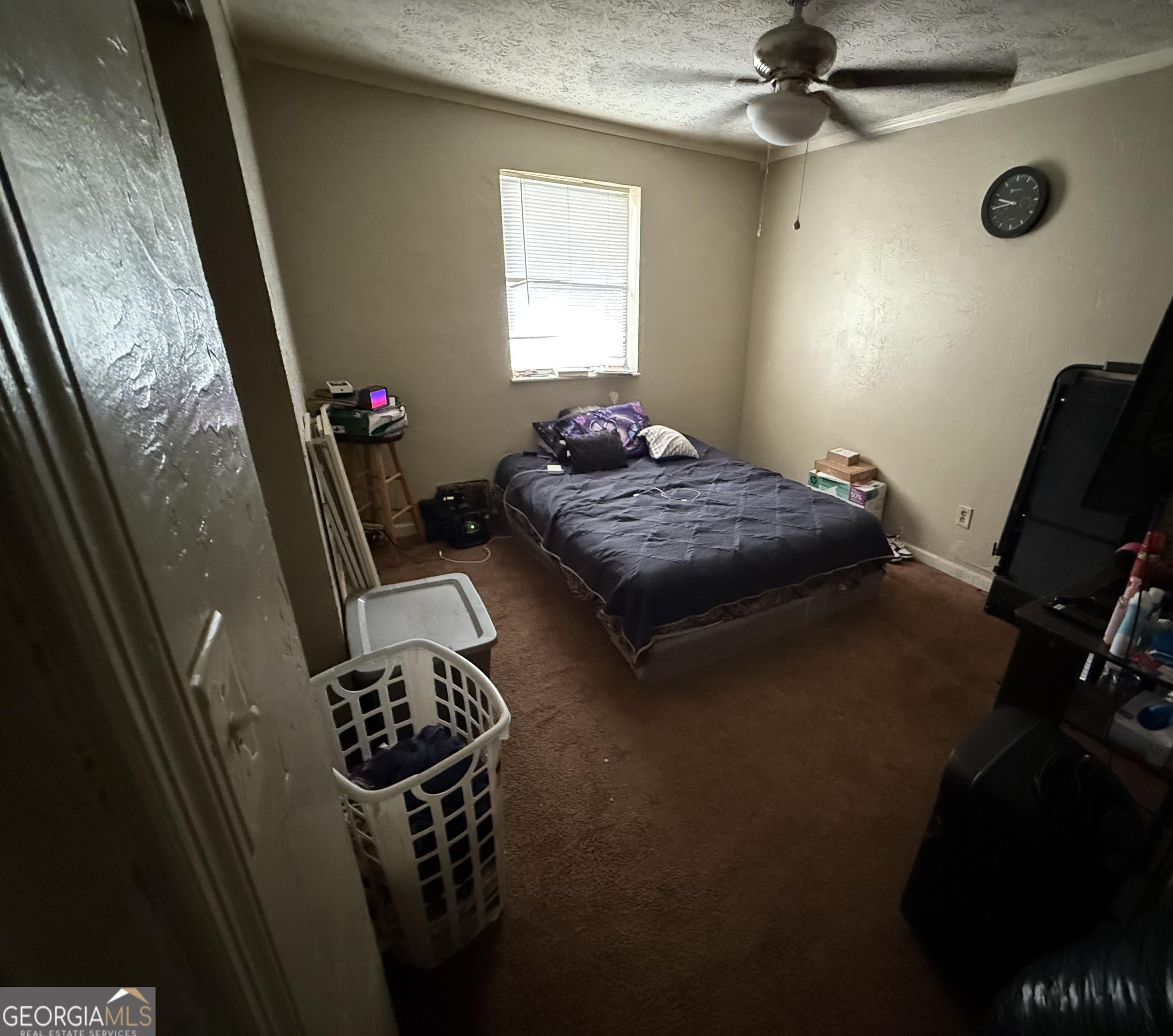 Photo #5