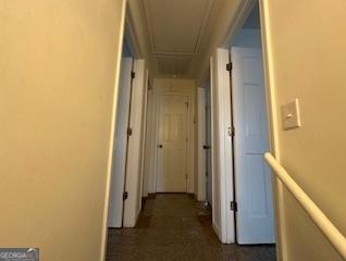 Photo #8