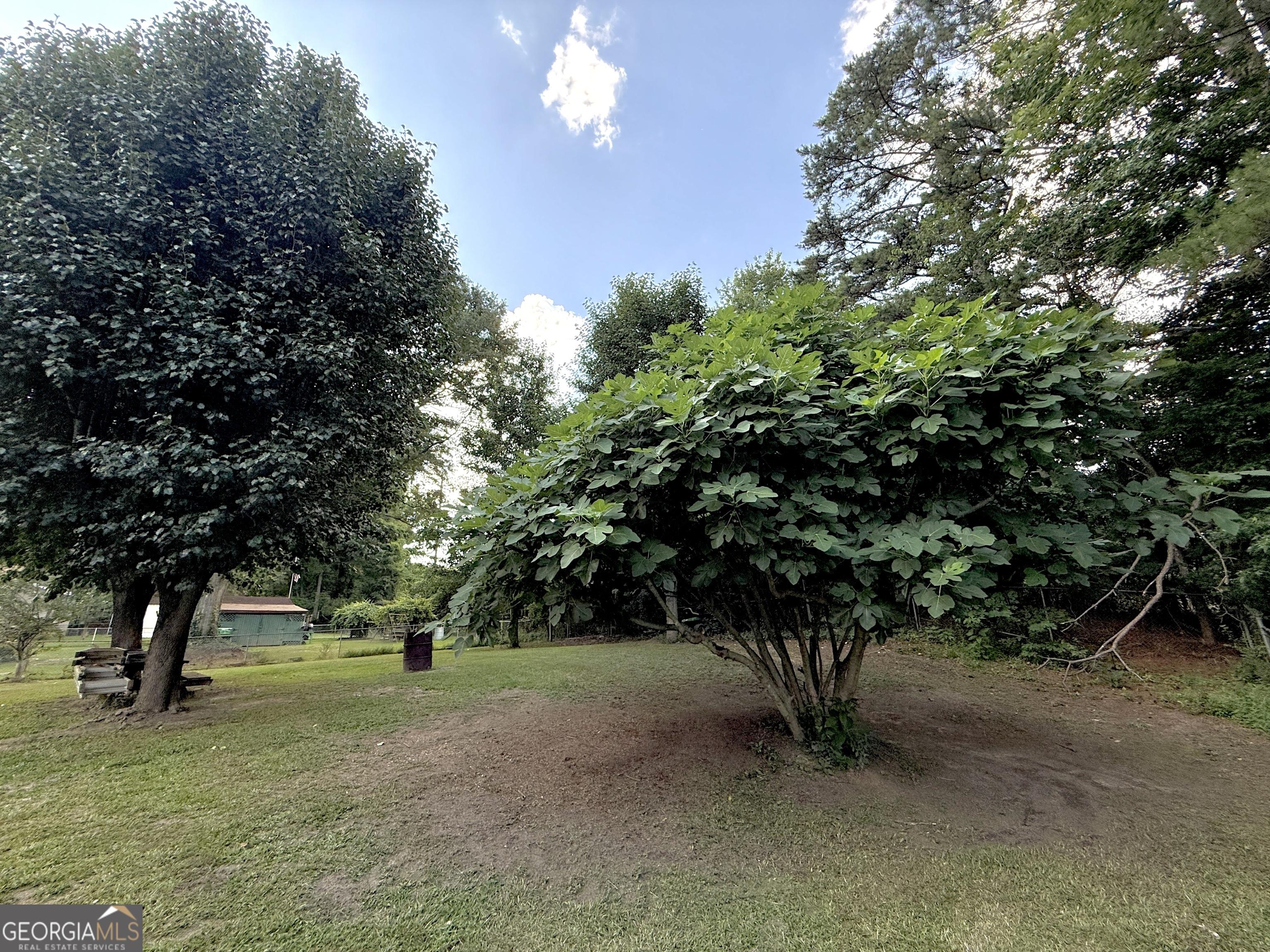 Photo #38