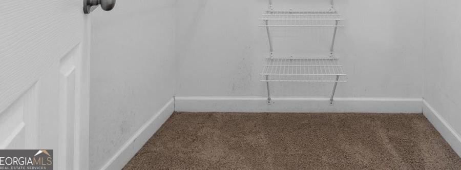 Photo #15