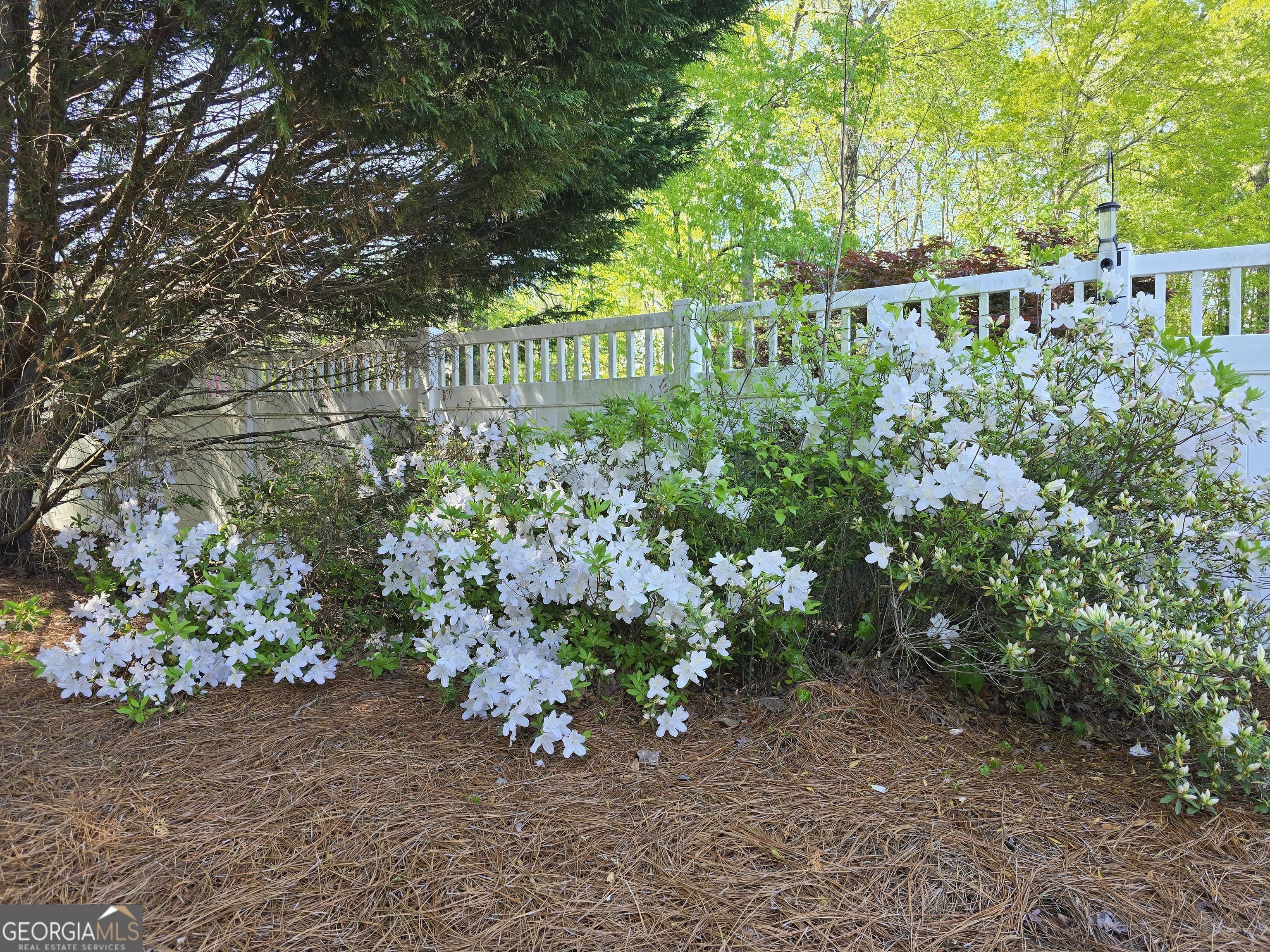 Photo #37