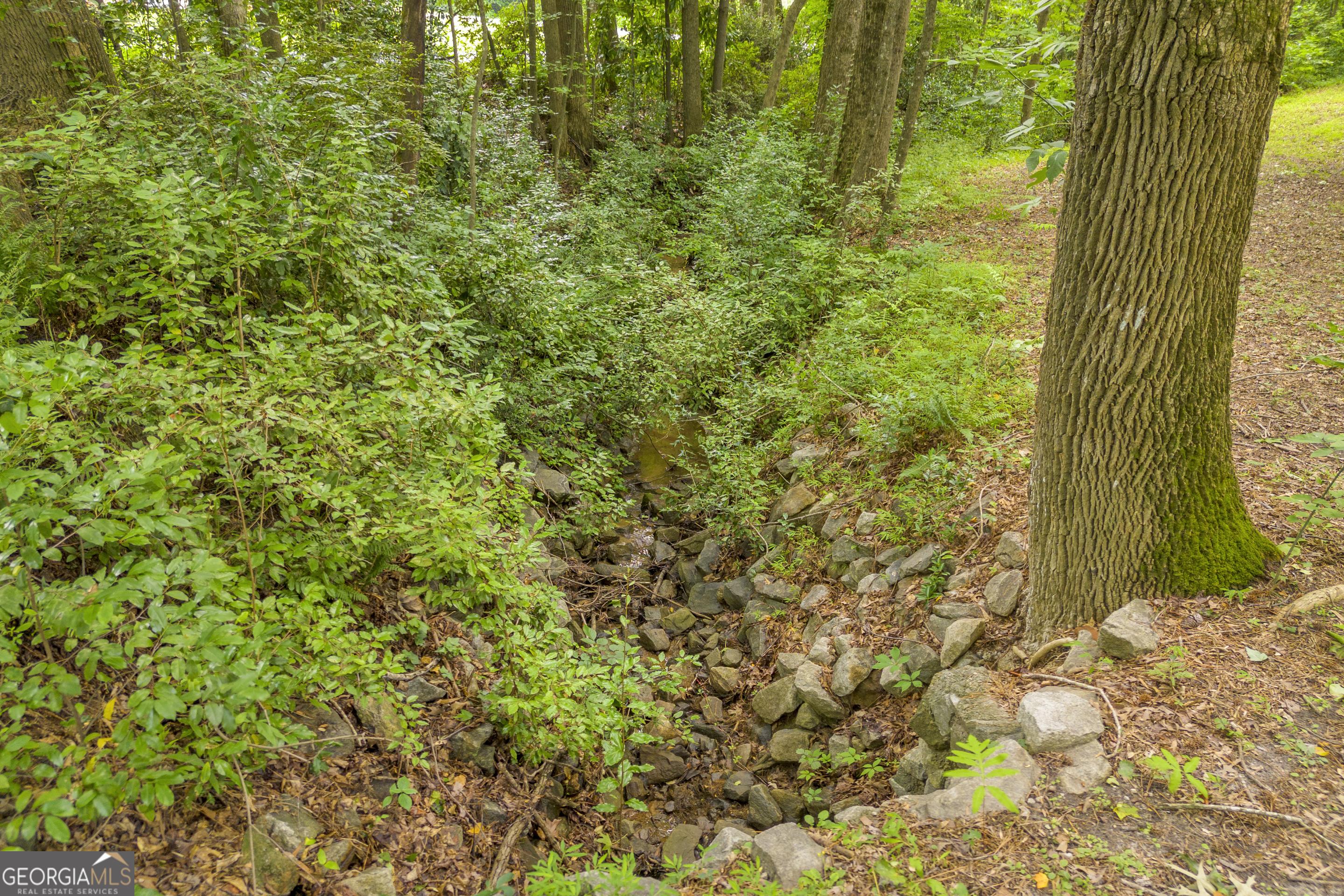 Photo #58