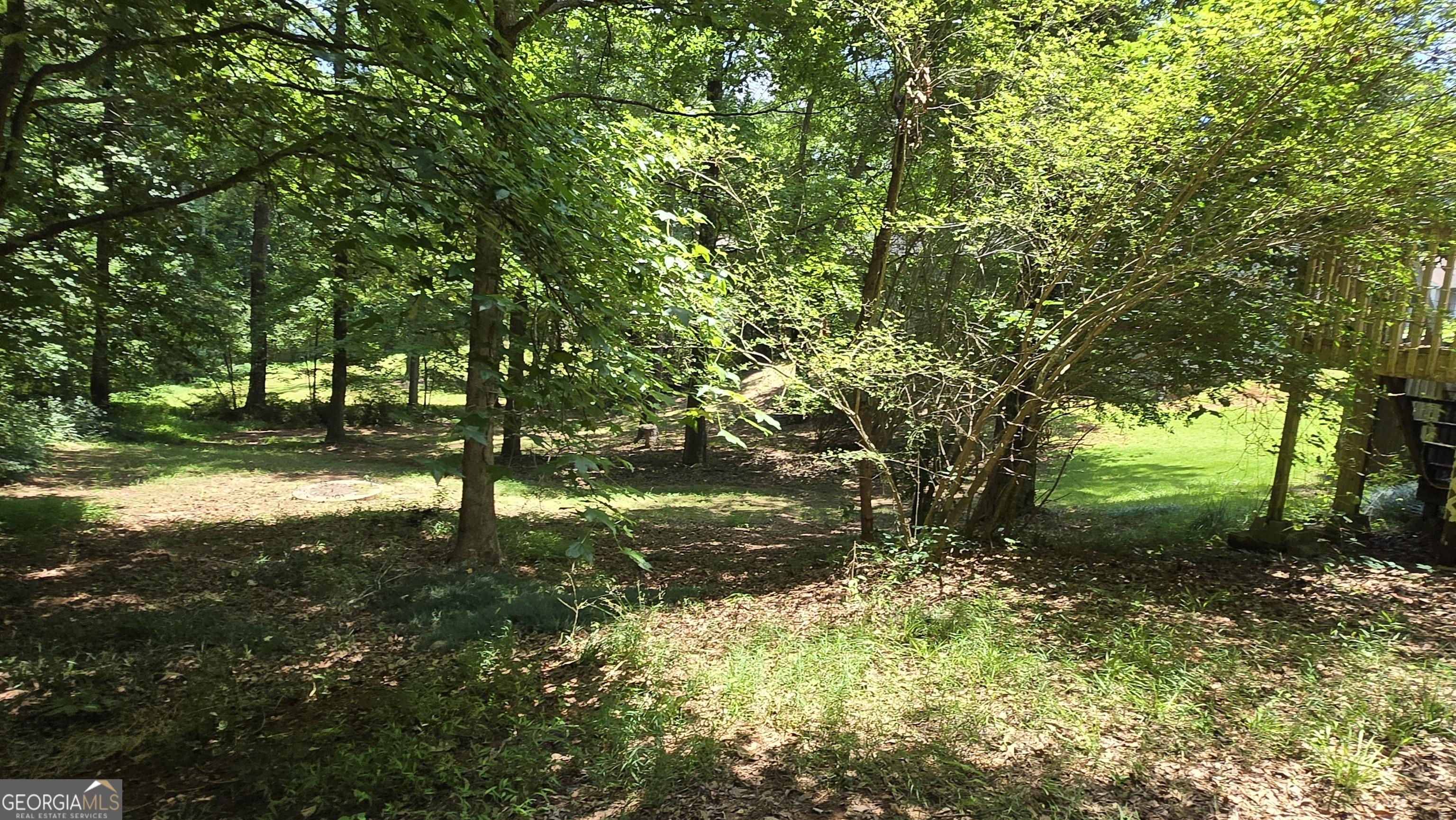 Photo #4