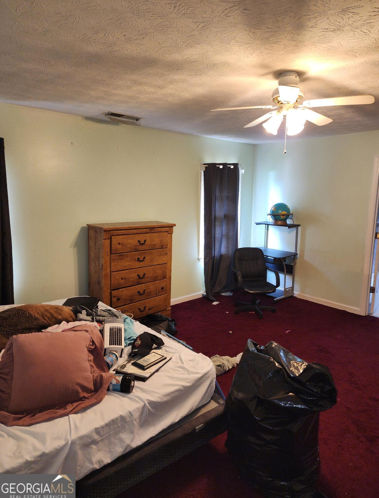 Photo #18