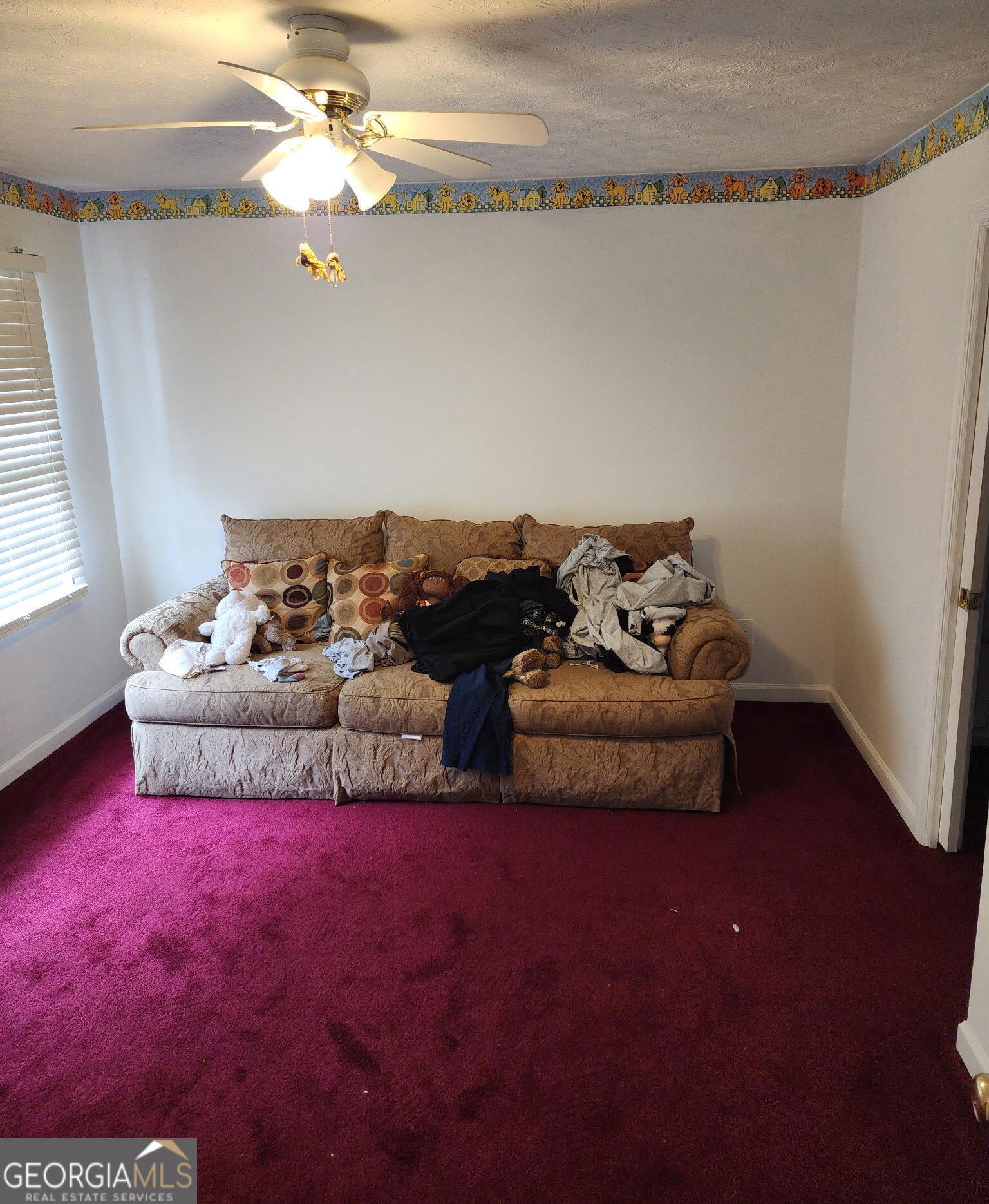 Photo #17