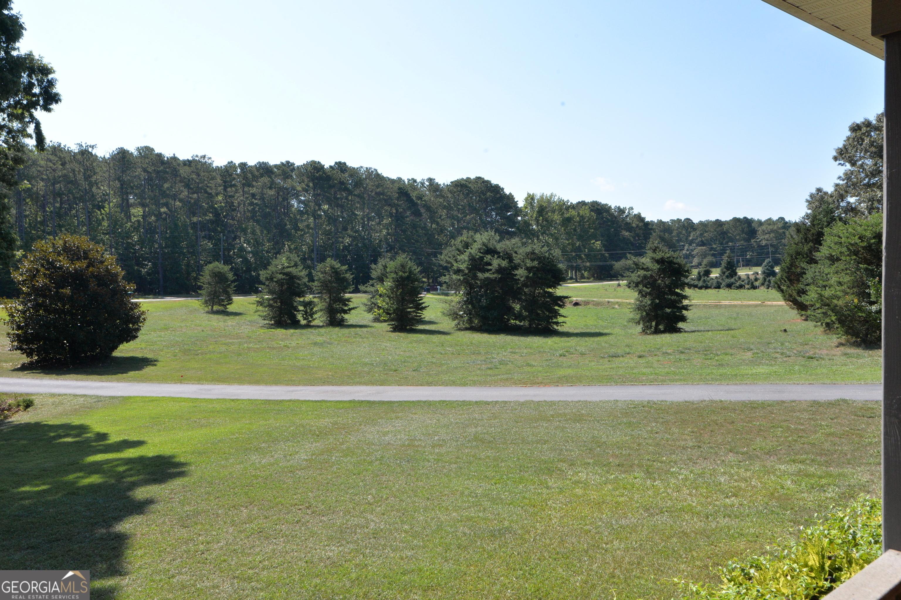 Photo #39