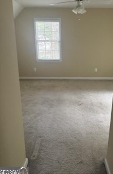 Photo #36