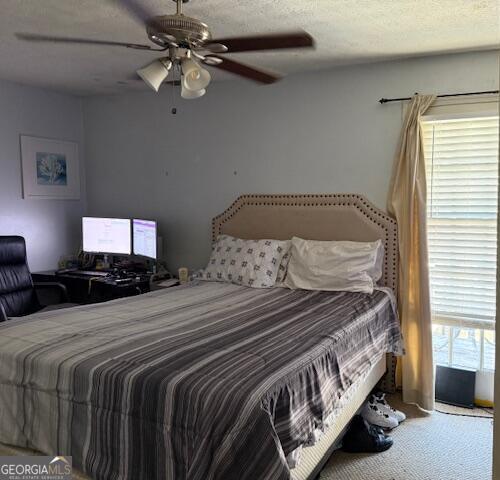 Photo #7