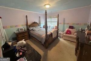Photo #15