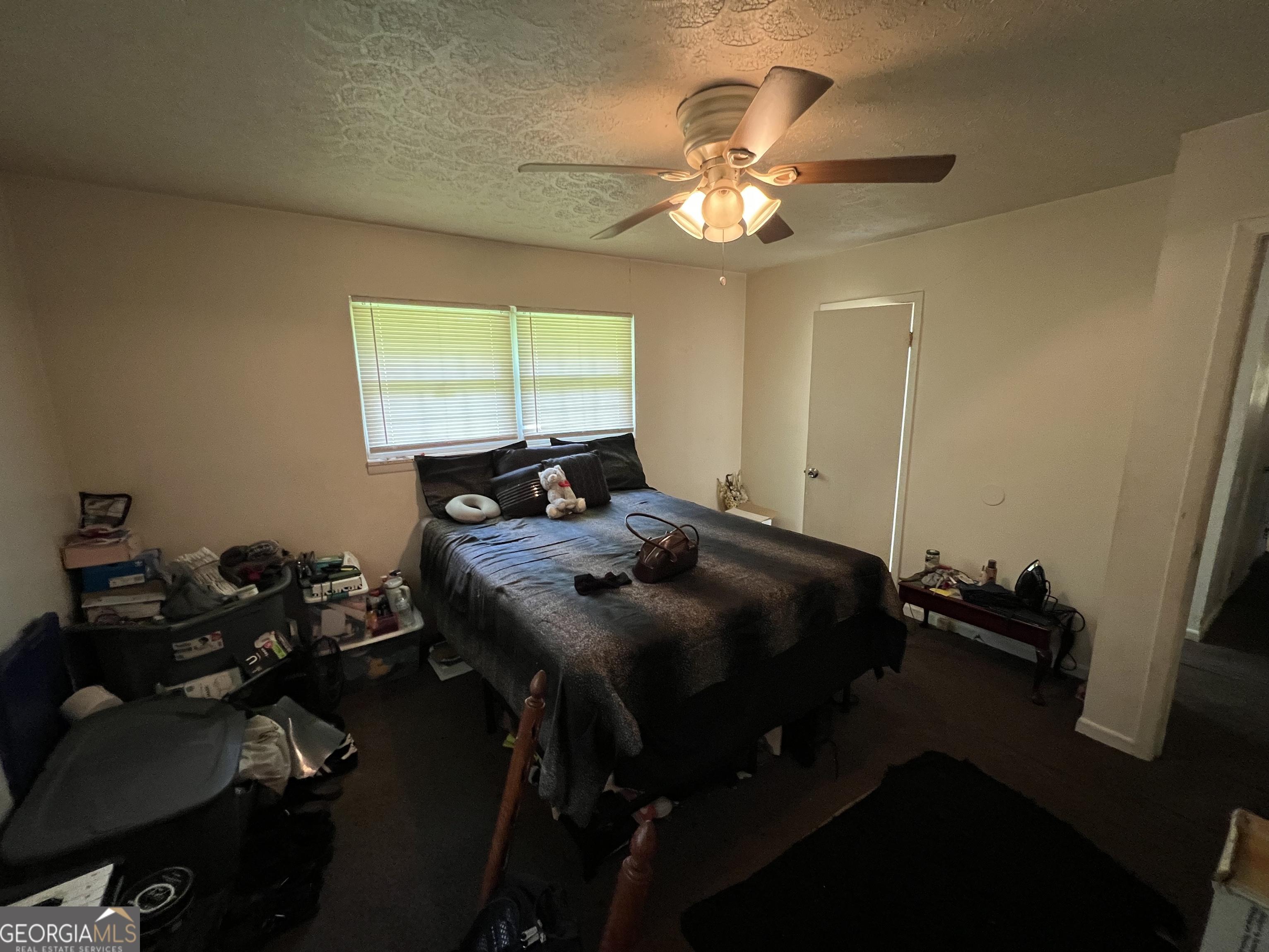 Photo #13