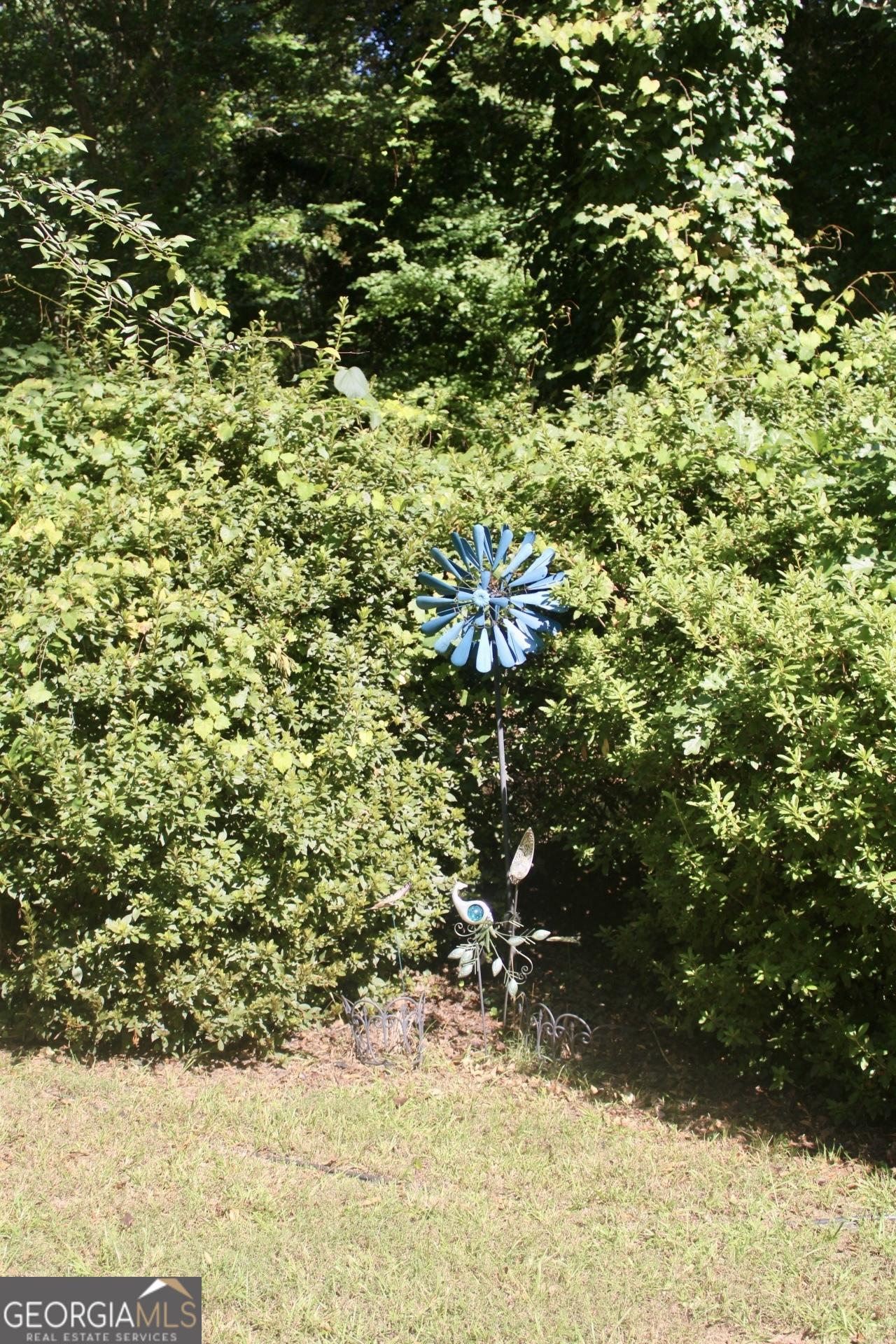 Photo #22