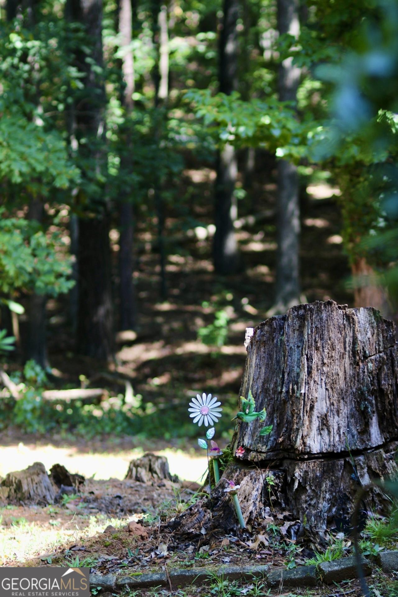 Photo #19