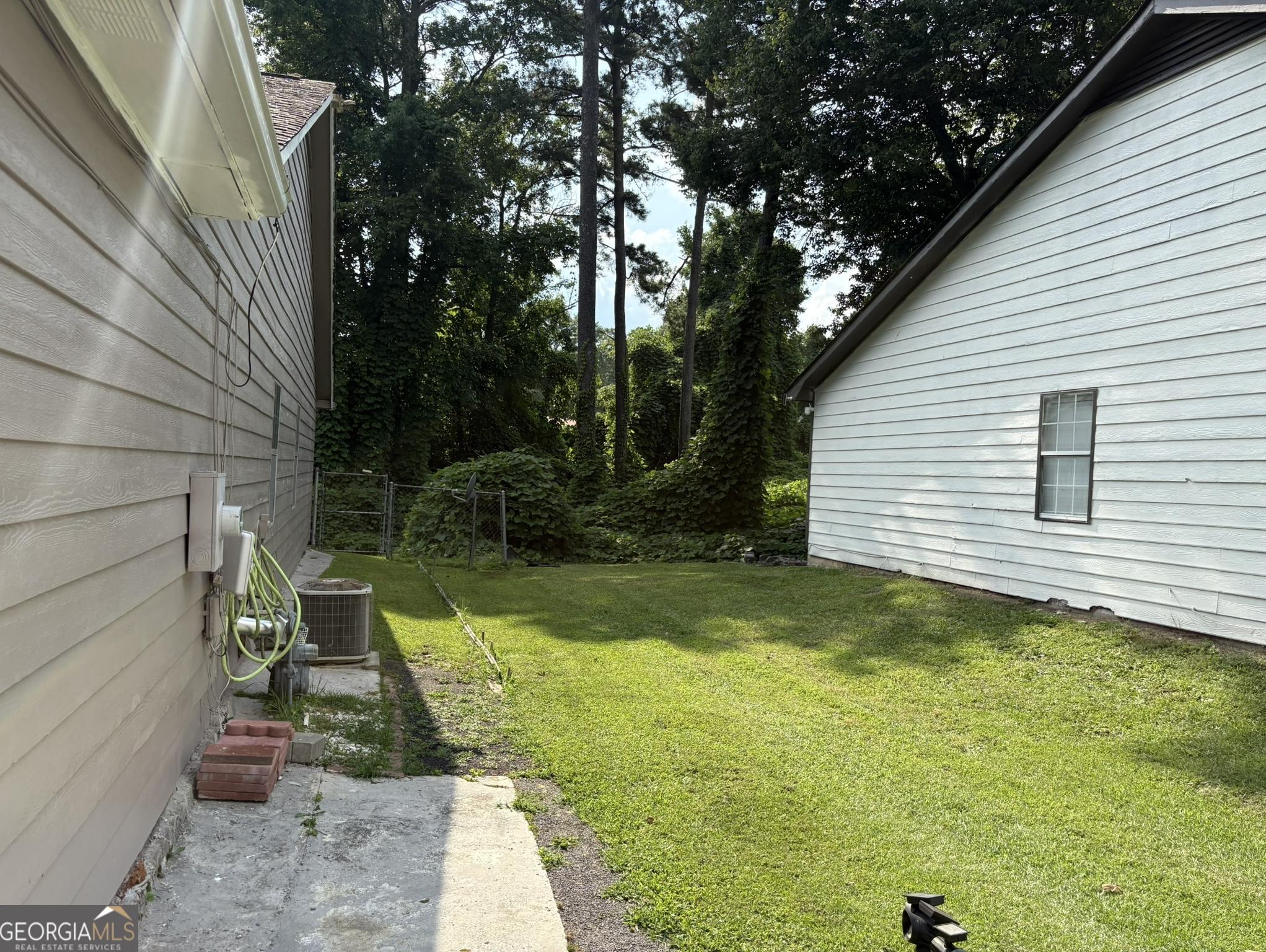 Photo #8