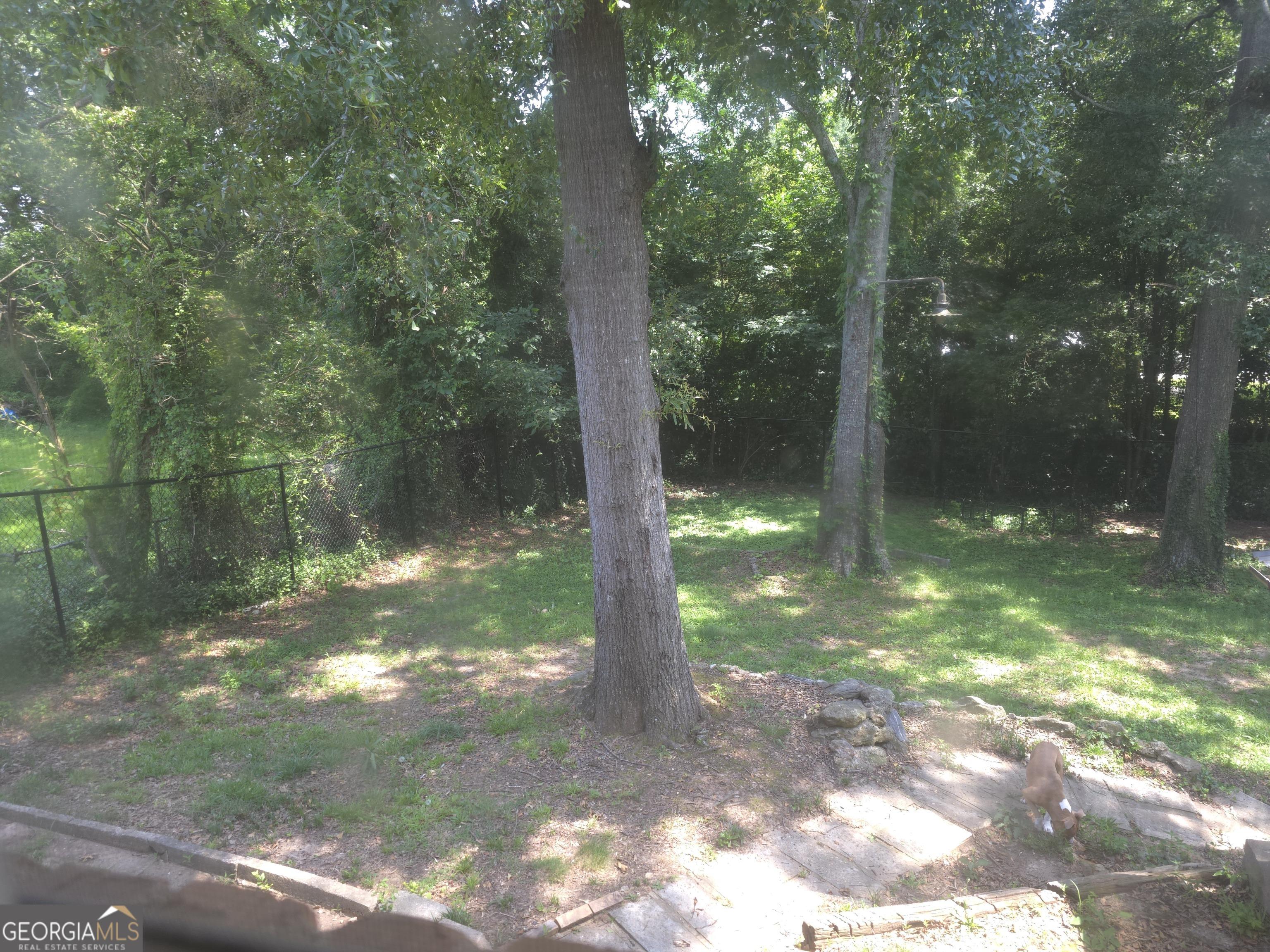 Photo #3