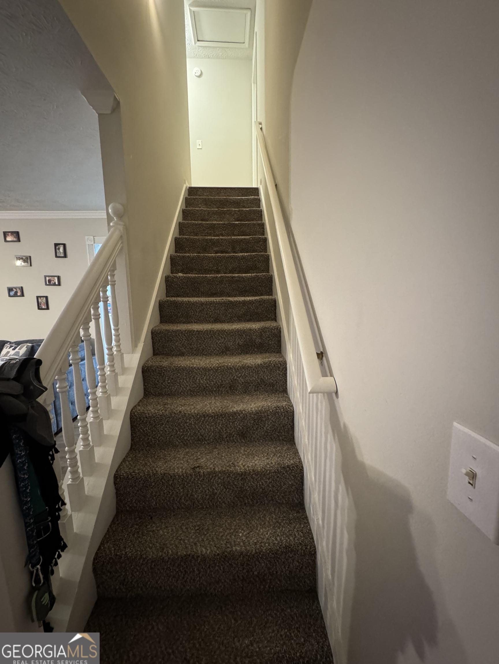 Photo #12