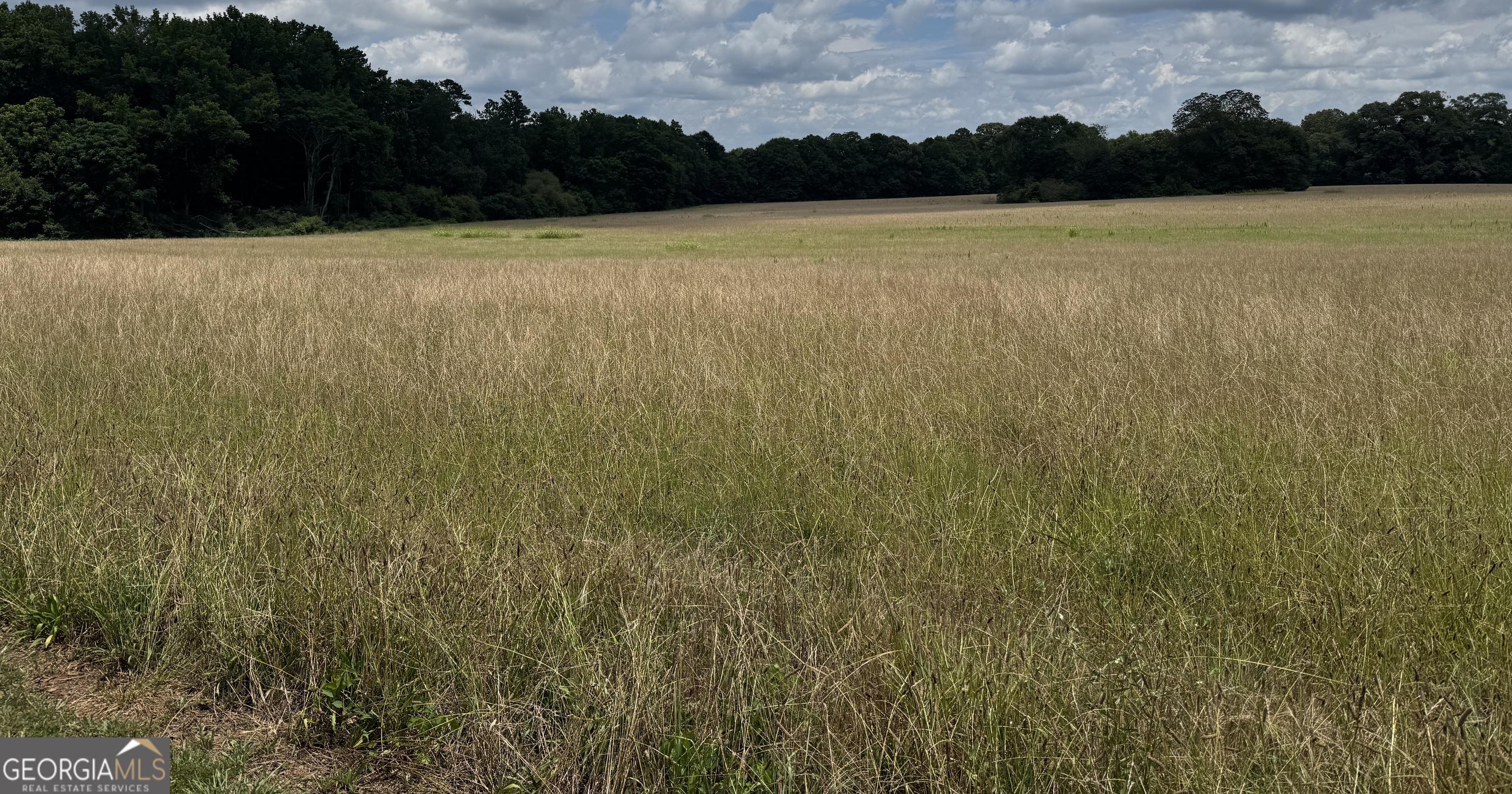 Photo #49
