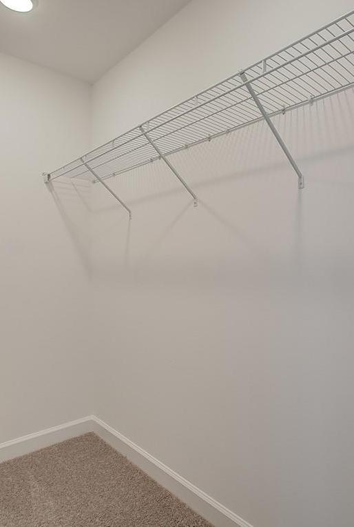 Photo #57