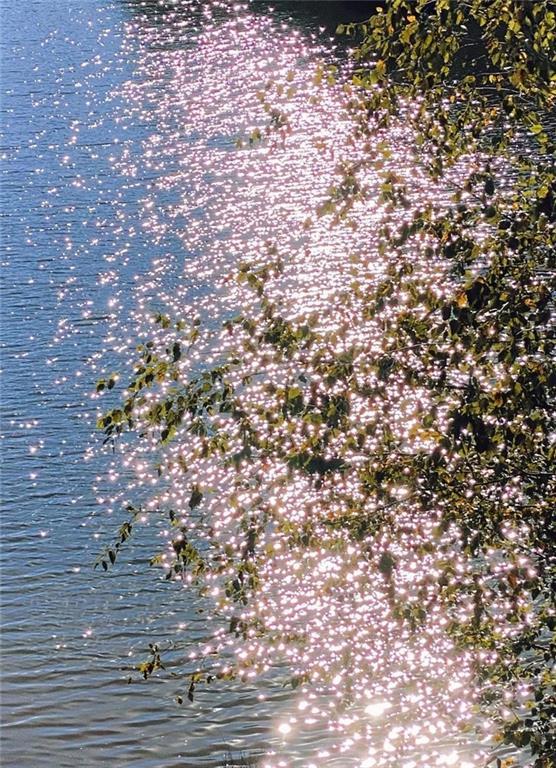 Photo #115