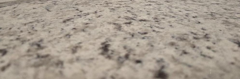 Photo #7