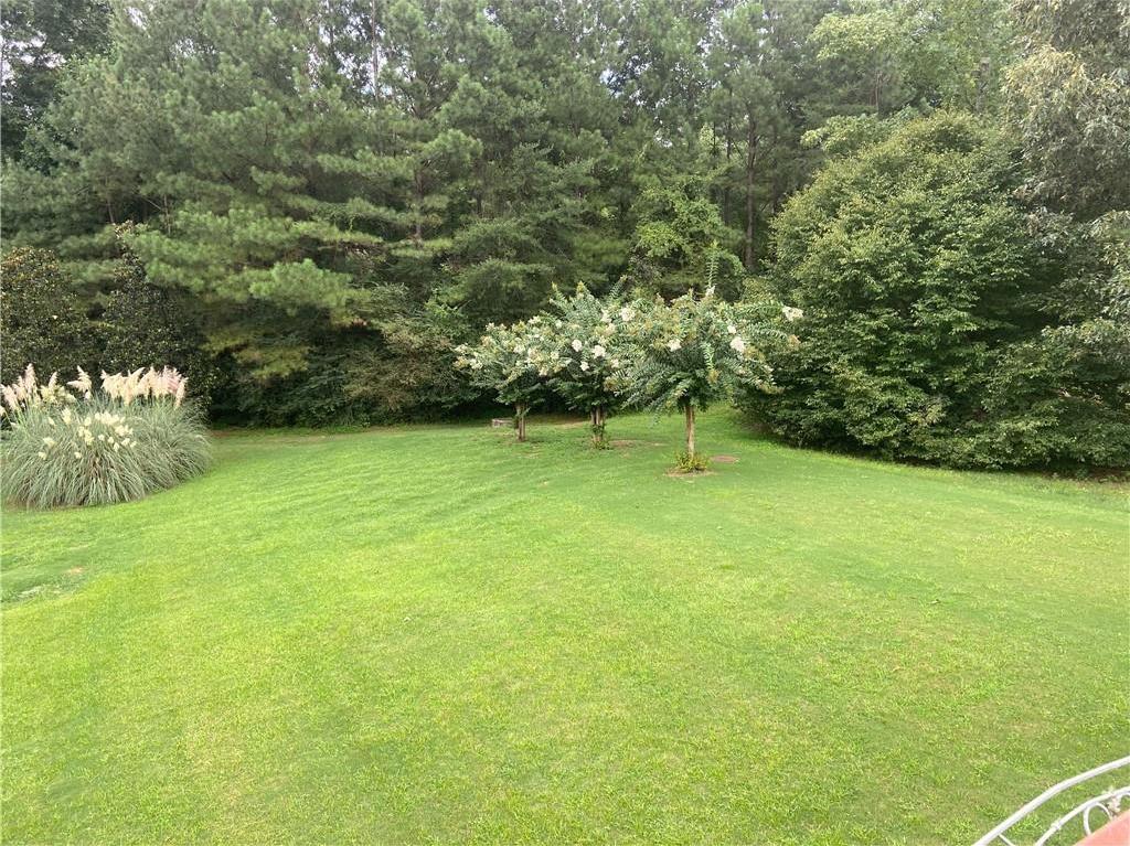 Photo #21