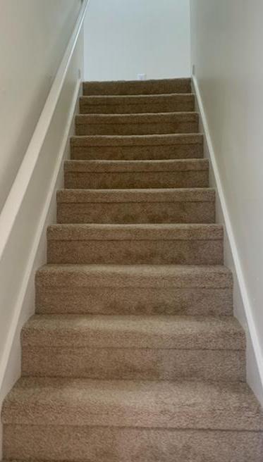 Photo #13