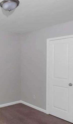 Photo #15