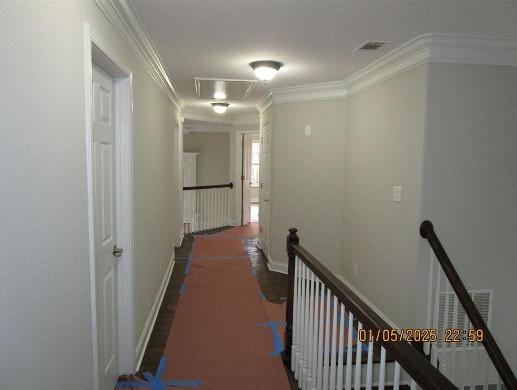 Photo #43