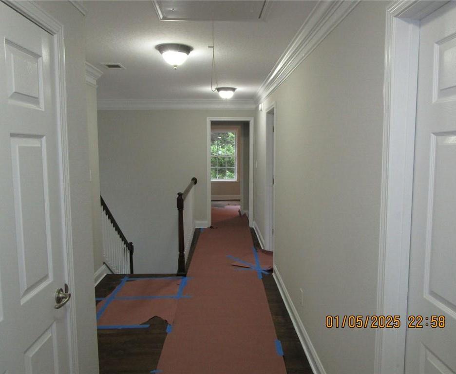 Photo #42