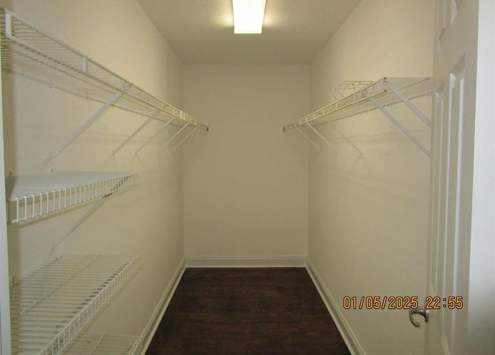 Photo #41