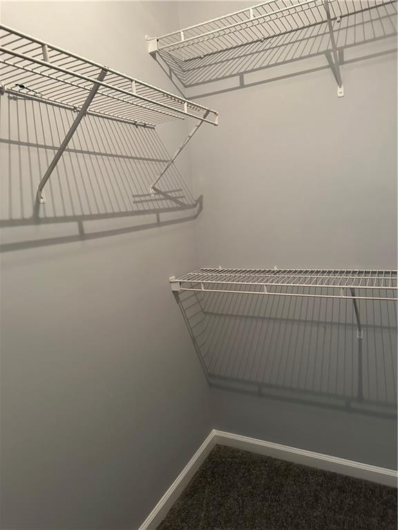 Photo #18