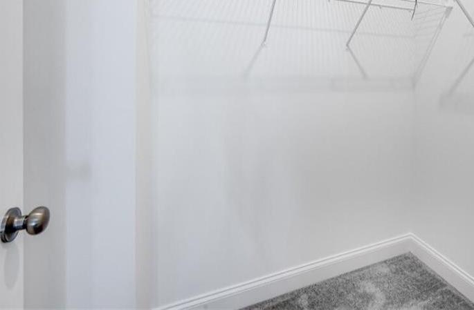 Photo #9