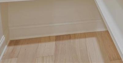 Photo #24