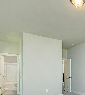 Photo #10