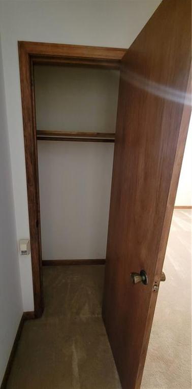 Photo #37
