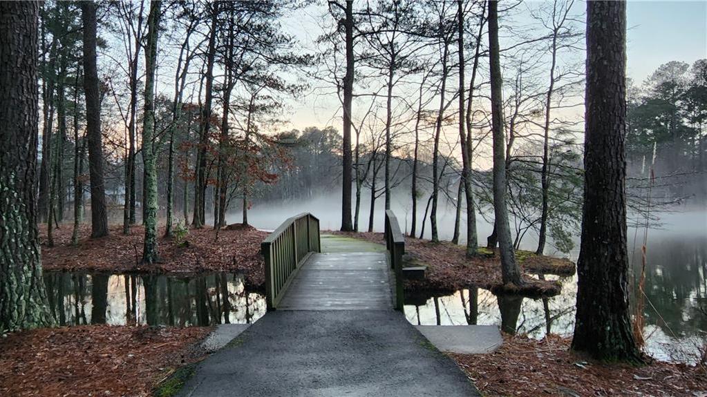 Photo #43
