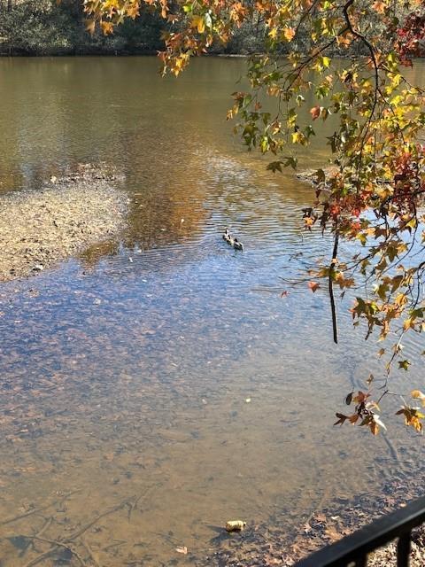 Photo #36